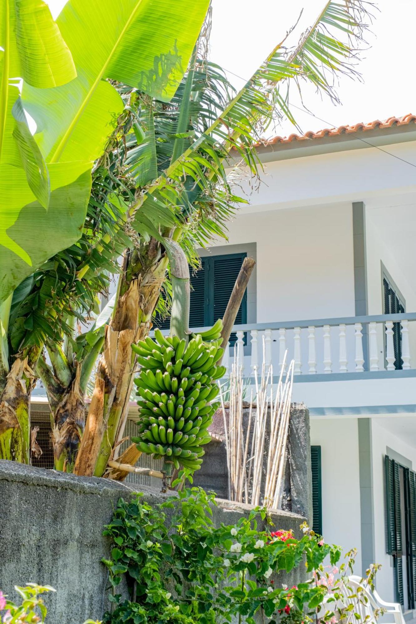 Sao Vicente Guest House Ngoại thất bức ảnh